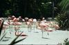 San Diego Zoo